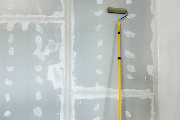 Best Asbestos and Lead Testing During Mold Inspection  in Old Greenwich, CT
